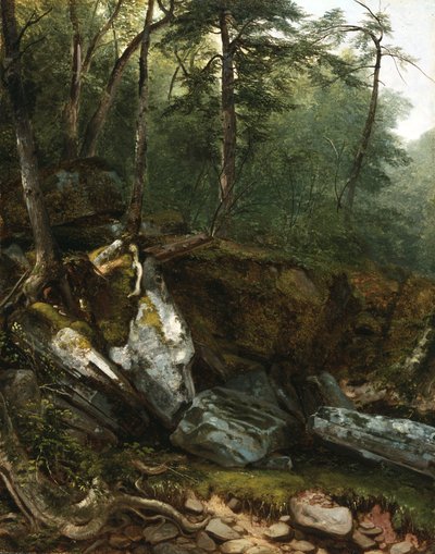 Studie aus der Natur: Felsen und Bäume in den Catskills, N.Y., 1856 von Asher Brown Durand